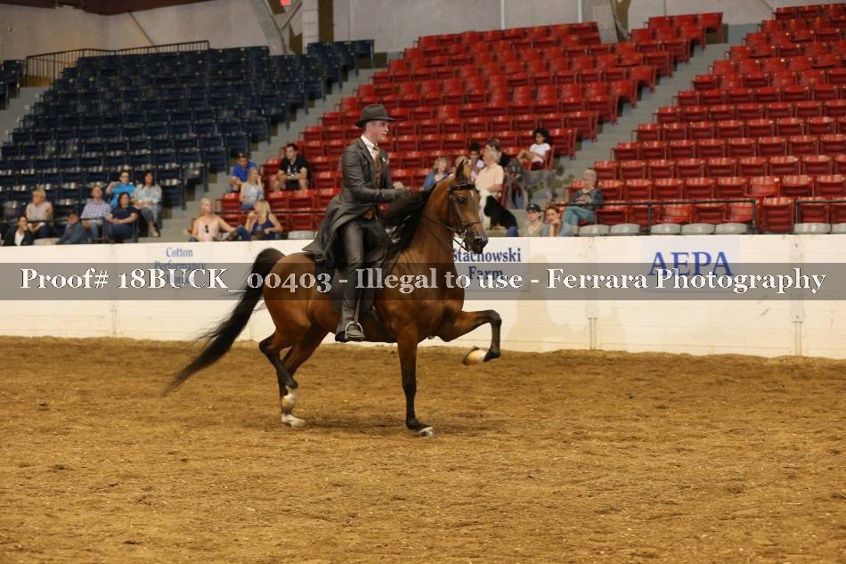 Proof 18BUCK_00403