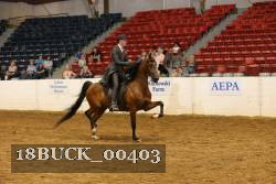 18BUCK_00403 proof