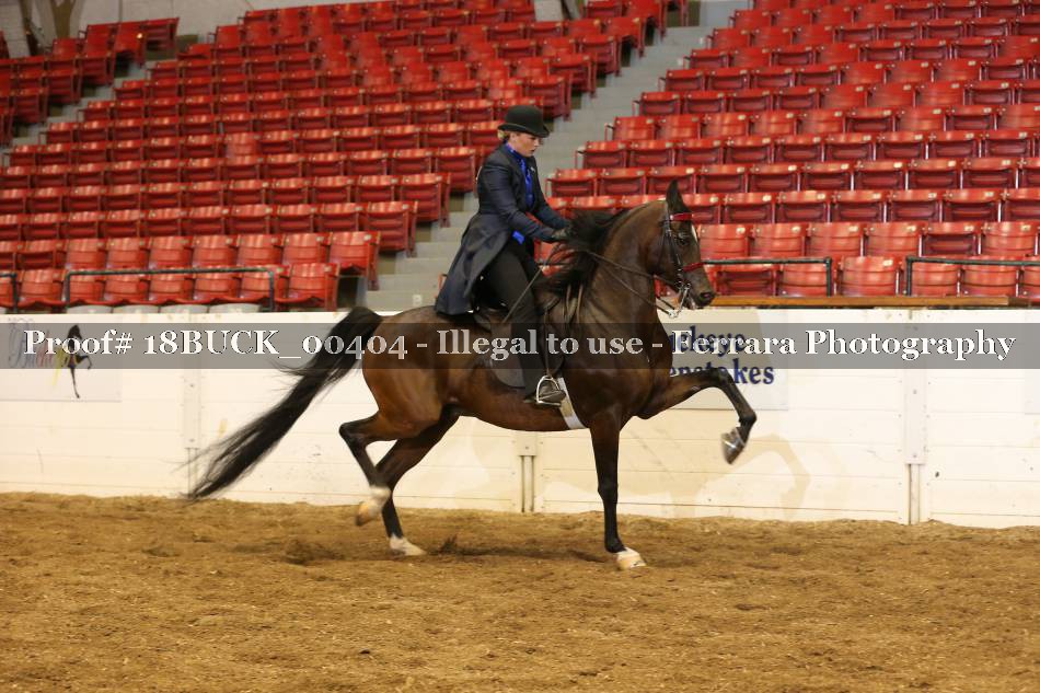 Proof 18BUCK_00404