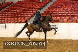 18BUCK_00404 proof
