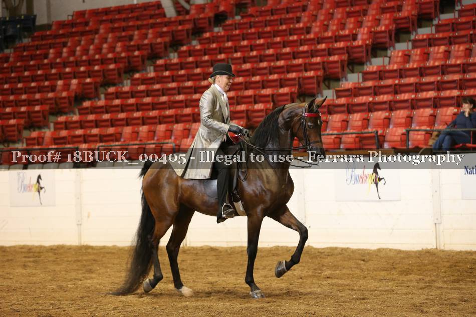 Proof 18BUCK_00405