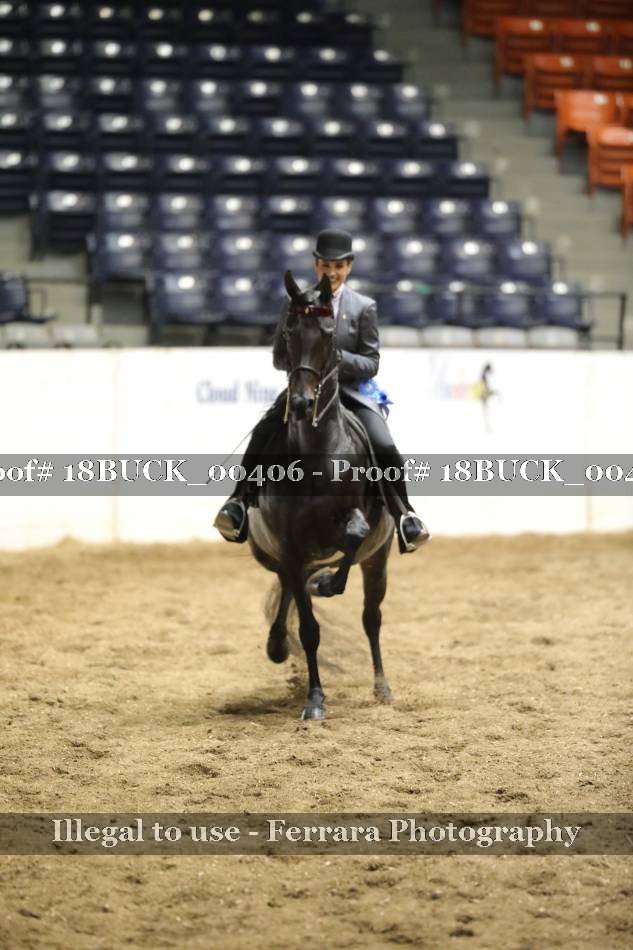 Proof 18BUCK_00406