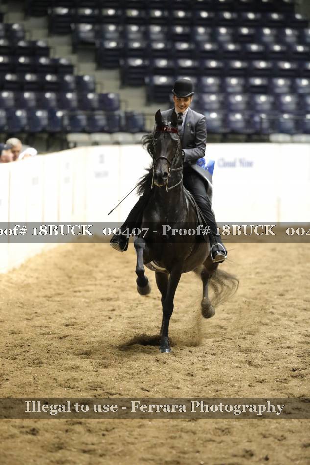 Proof 18BUCK_00407