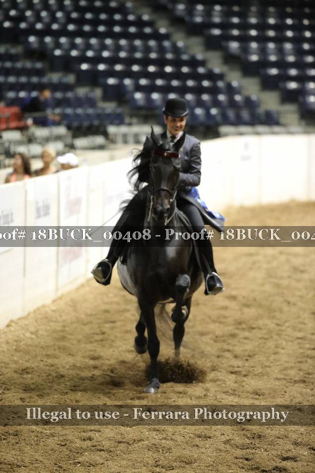 Proof 18BUCK_00408