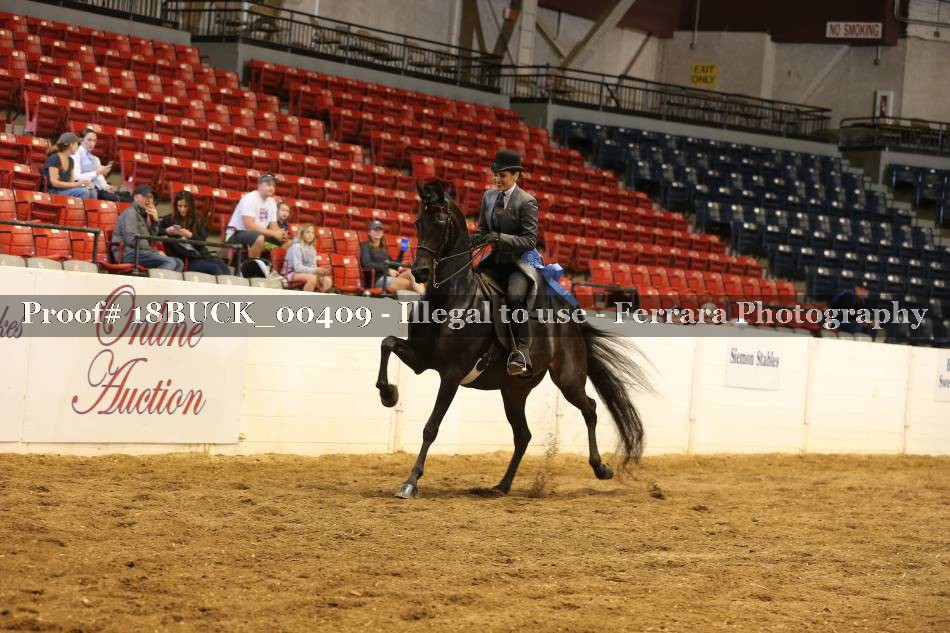 Proof 18BUCK_00409