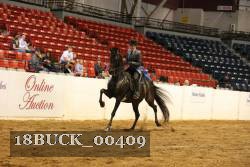 18BUCK_00409 proof