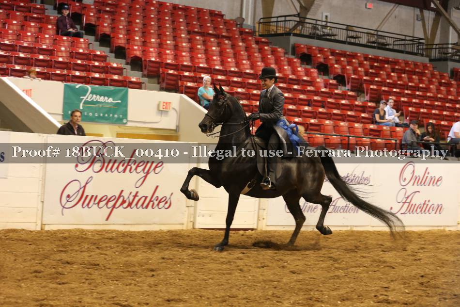 Proof 18BUCK_00410