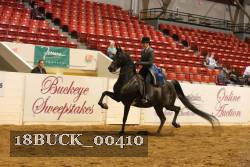 18BUCK_00410 proof