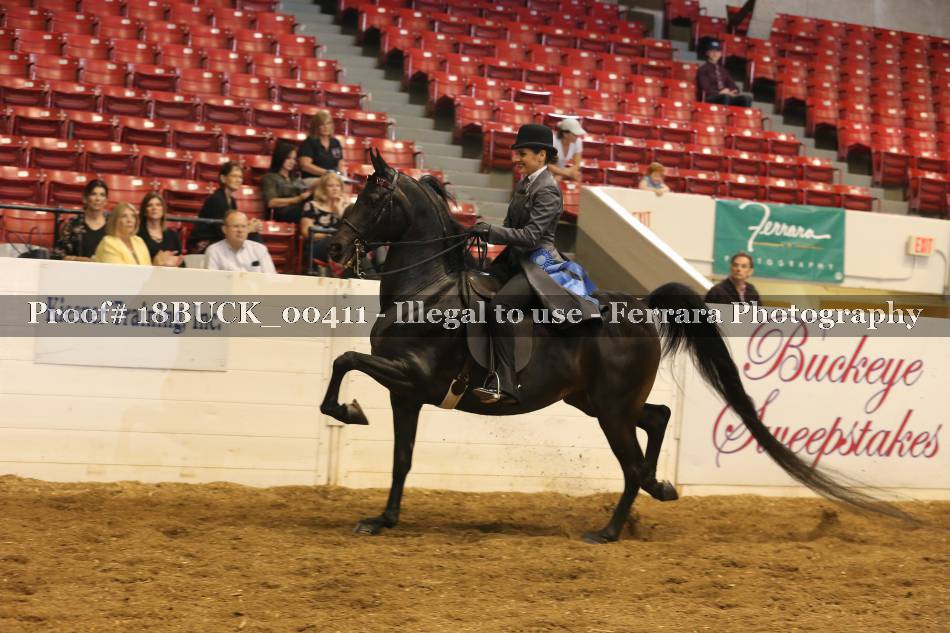 Proof 18BUCK_00411