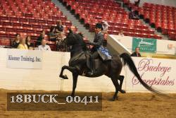 18BUCK_00411 proof