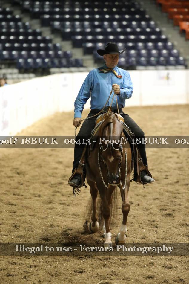 Proof 18BUCK_00413