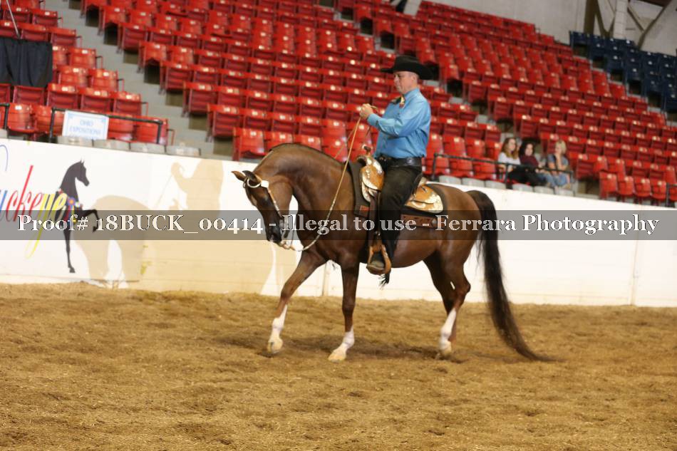Proof 18BUCK_00414