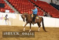 18BUCK_00414 proof