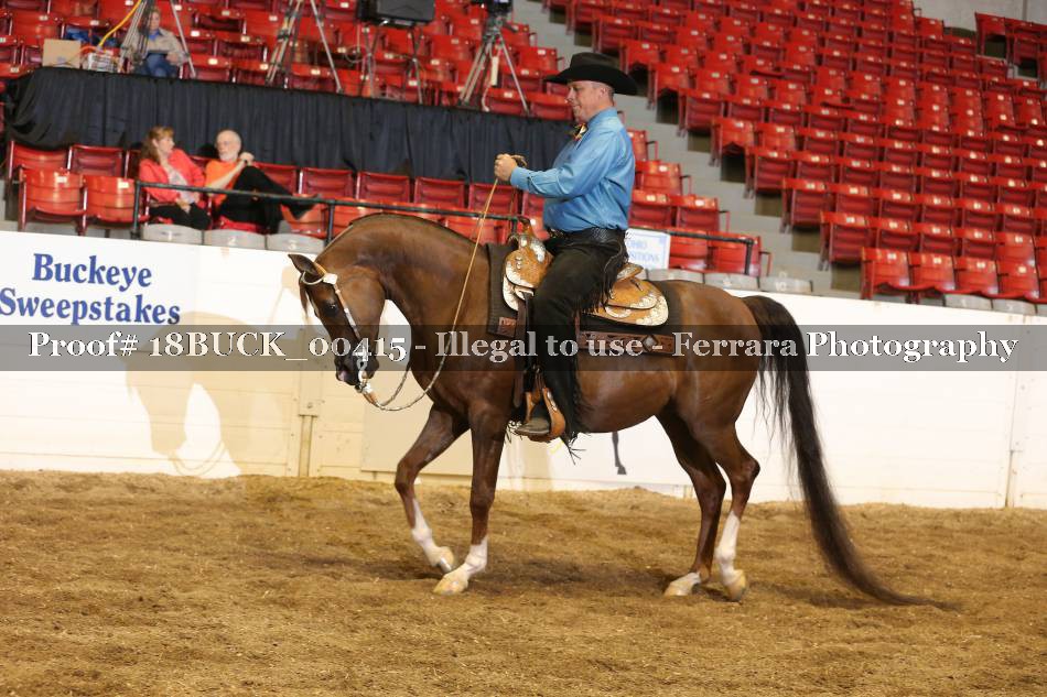 Proof 18BUCK_00415