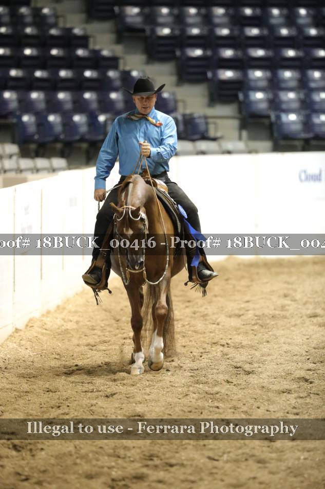 Proof 18BUCK_00416