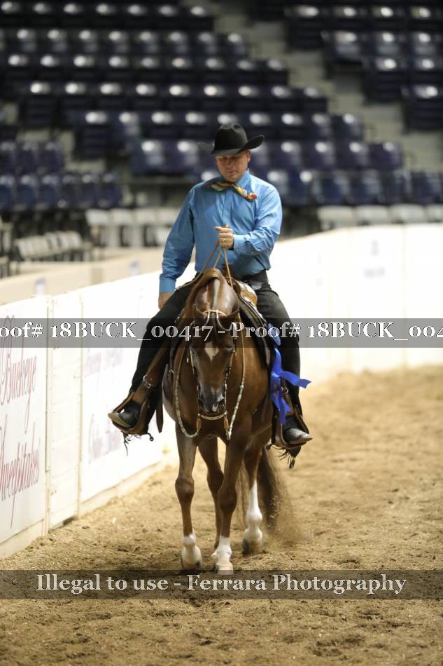 Proof 18BUCK_00417