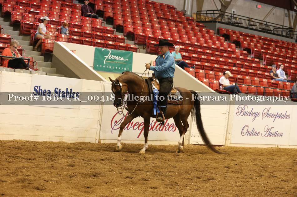 Proof 18BUCK_00418