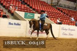 18BUCK_00418 proof