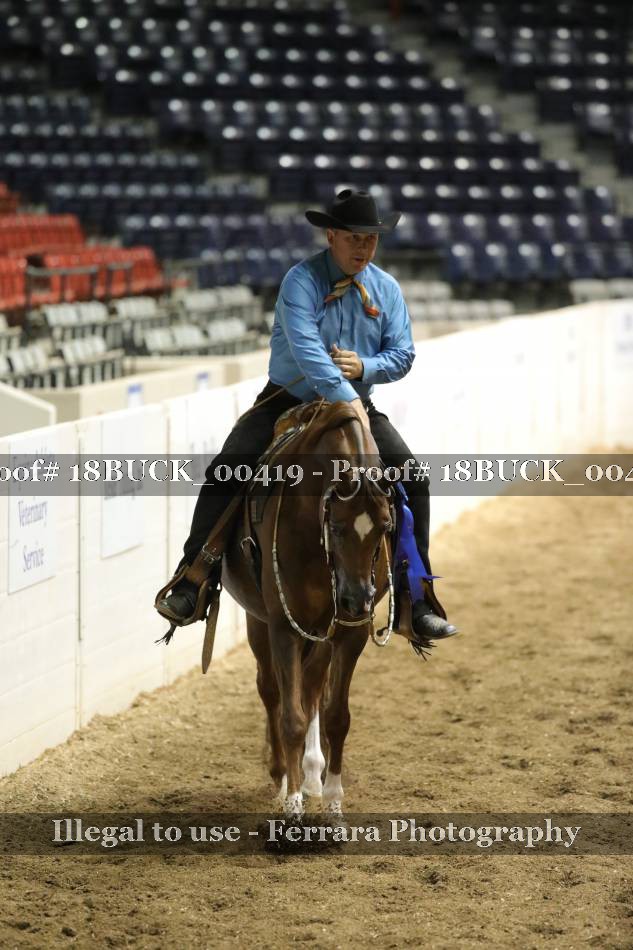Proof 18BUCK_00419
