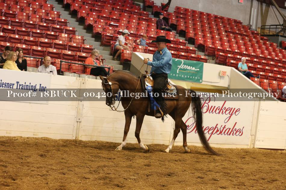 Proof 18BUCK_00420