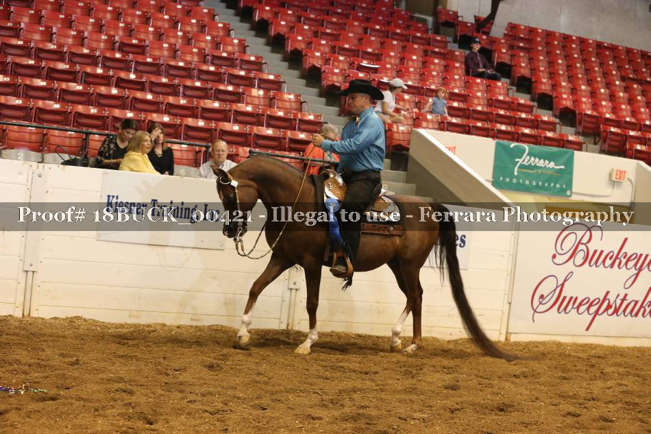 Proof 18BUCK_00421