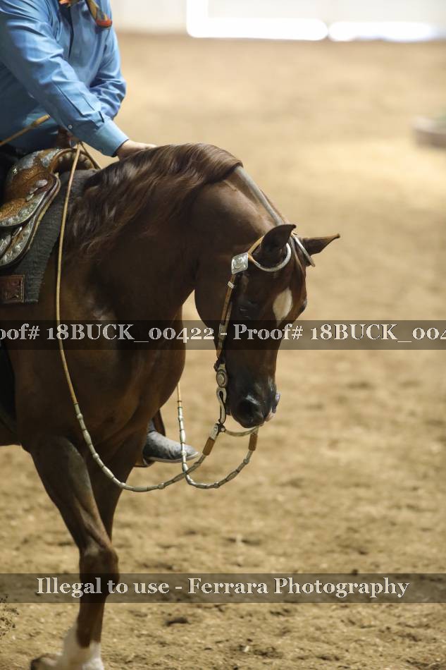 Proof 18BUCK_00422