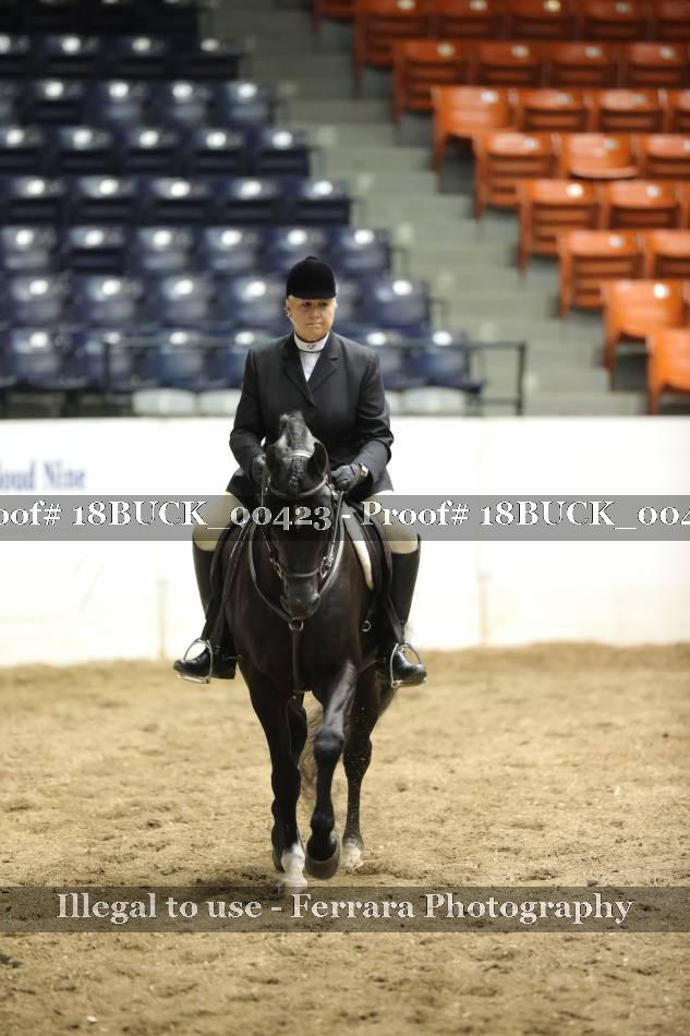 Proof 18BUCK_00423