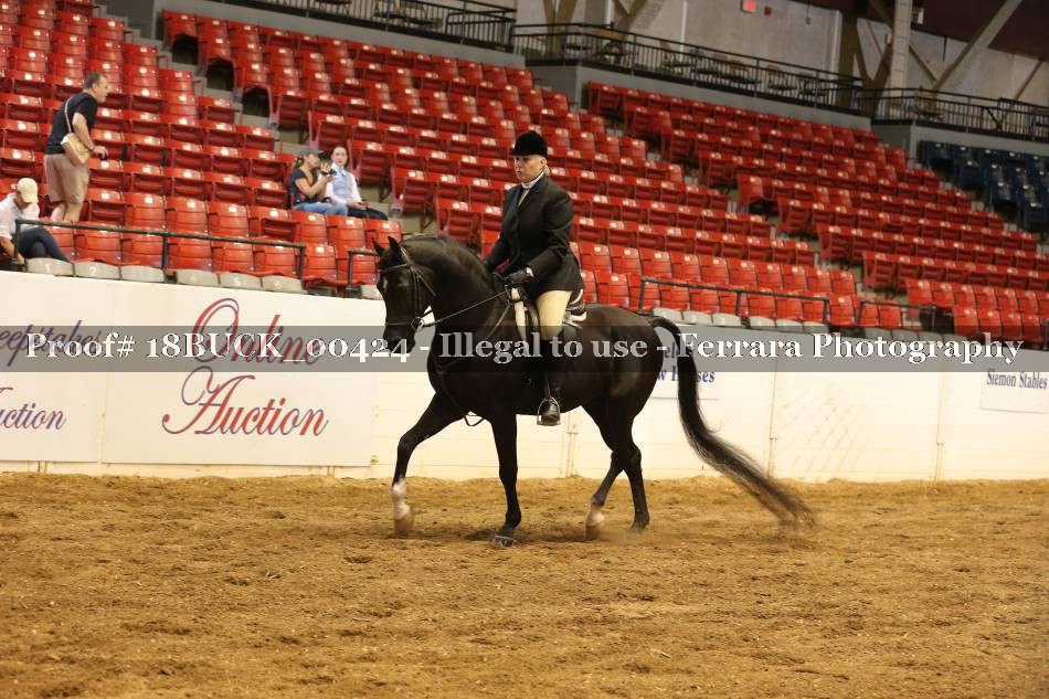 Proof 18BUCK_00424