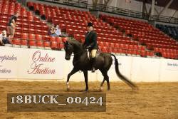 18BUCK_00424 proof