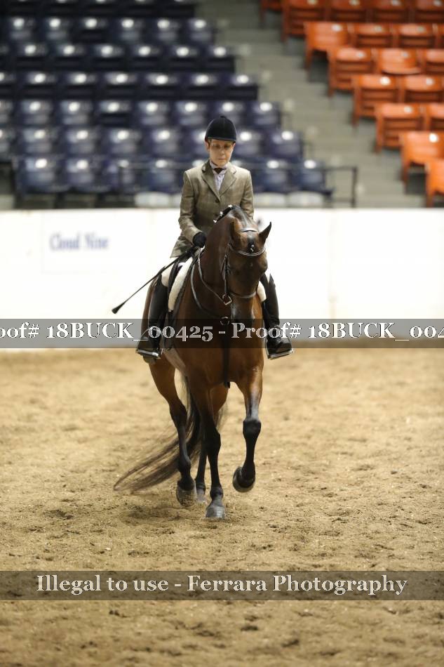 Proof 18BUCK_00425