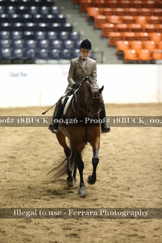 Proof 18BUCK_00426