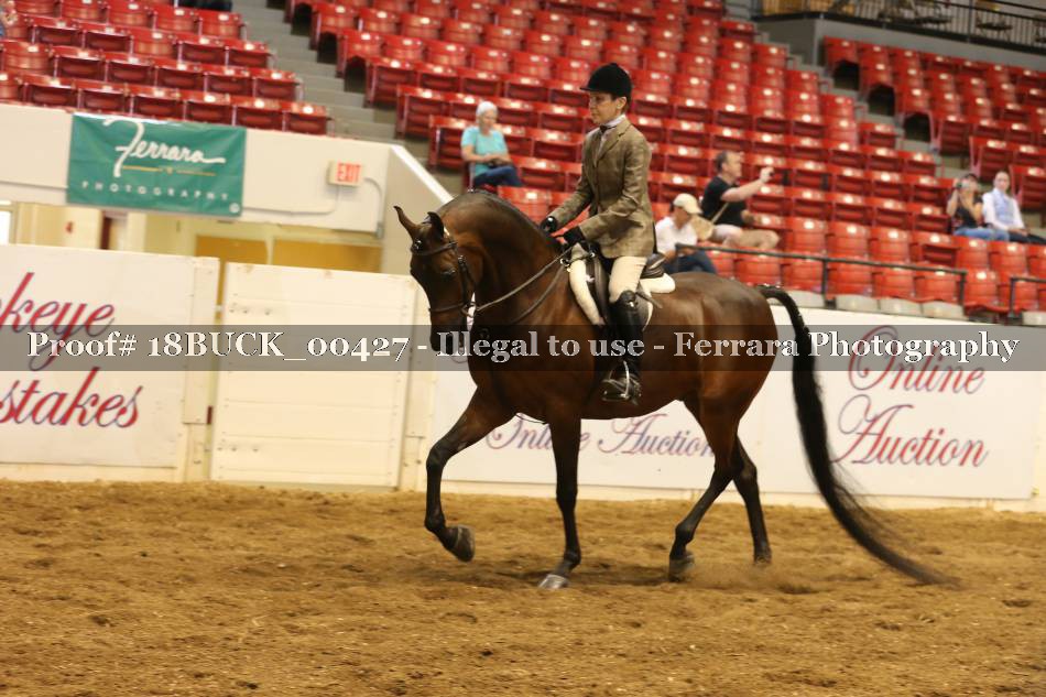 Proof 18BUCK_00427