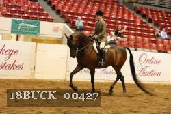 18BUCK_00427 proof