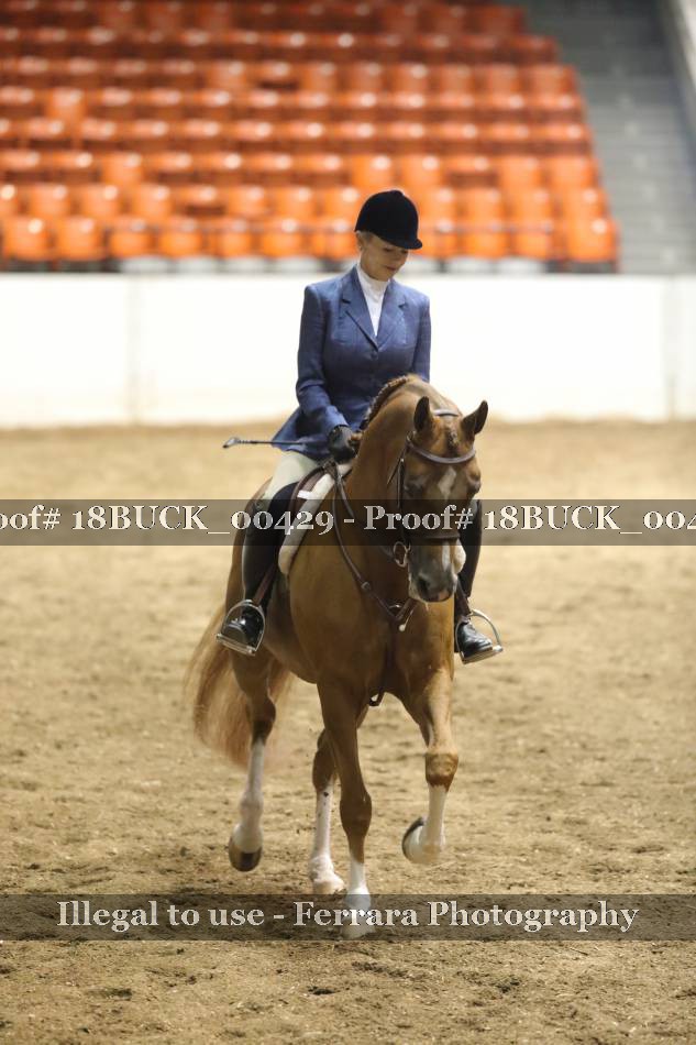 Proof 18BUCK_00429