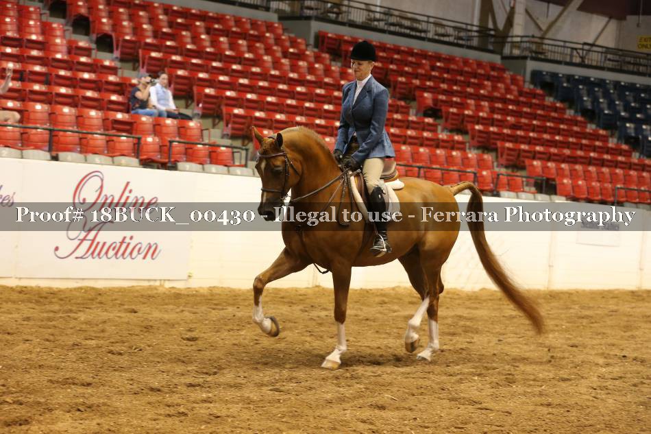 Proof 18BUCK_00430