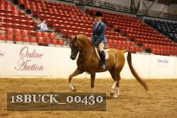 18BUCK_00430 proof