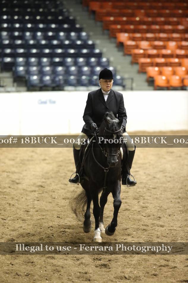 Proof 18BUCK_00431
