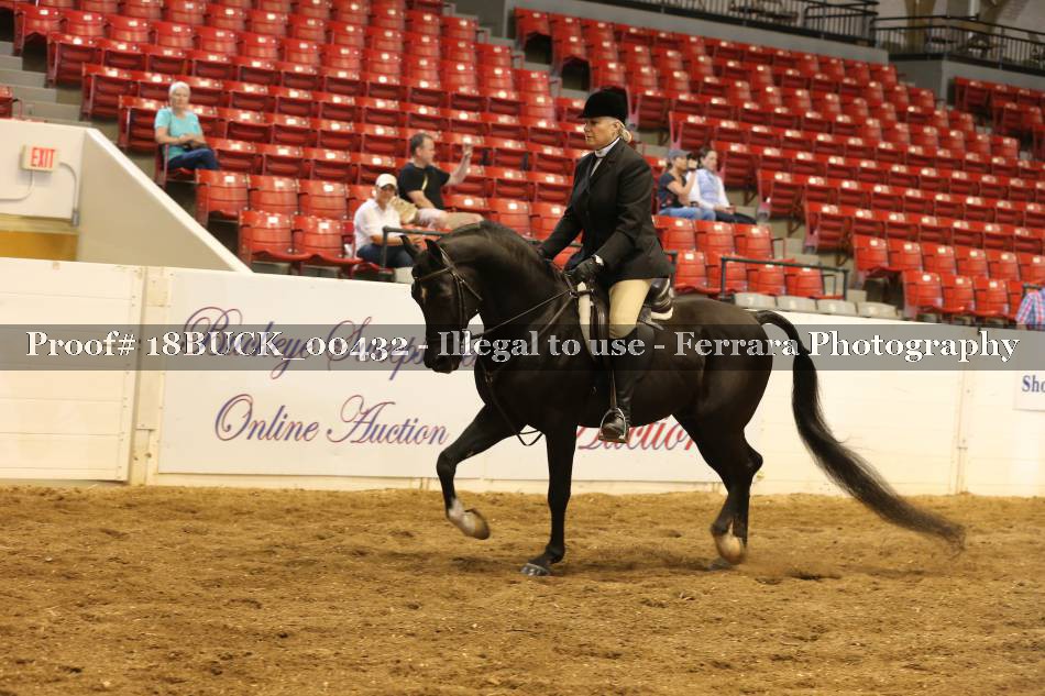 Proof 18BUCK_00432