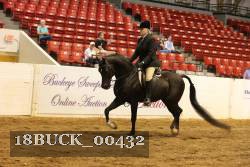 18BUCK_00432 proof