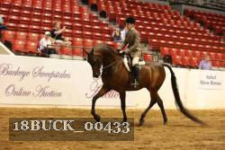18BUCK_00433 proof