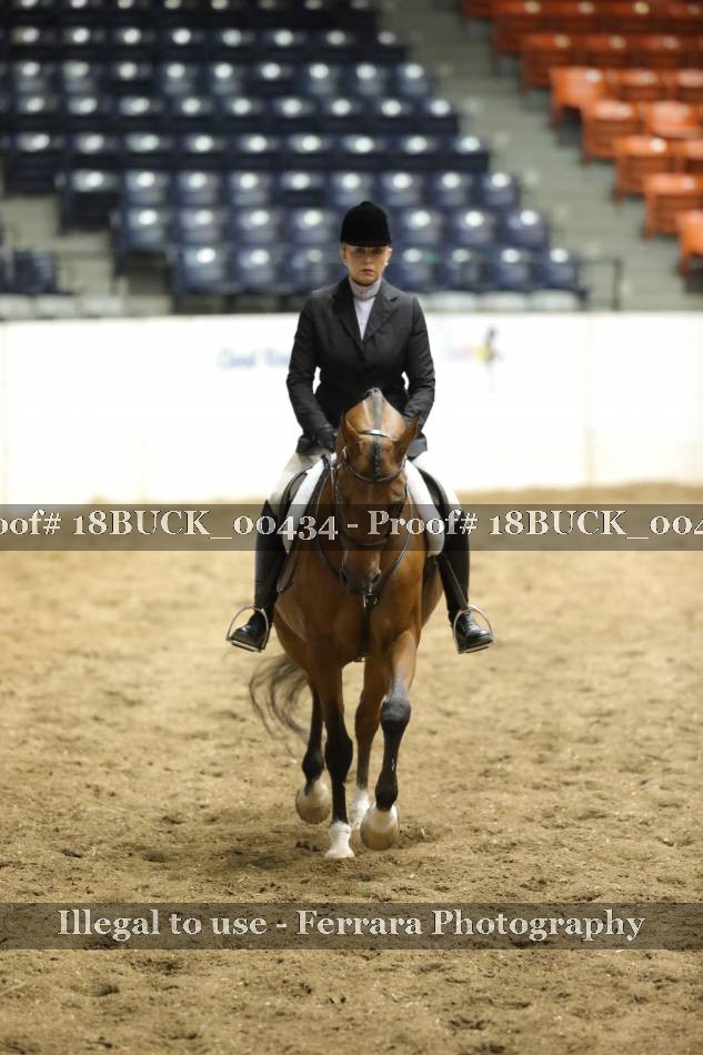 Proof 18BUCK_00434