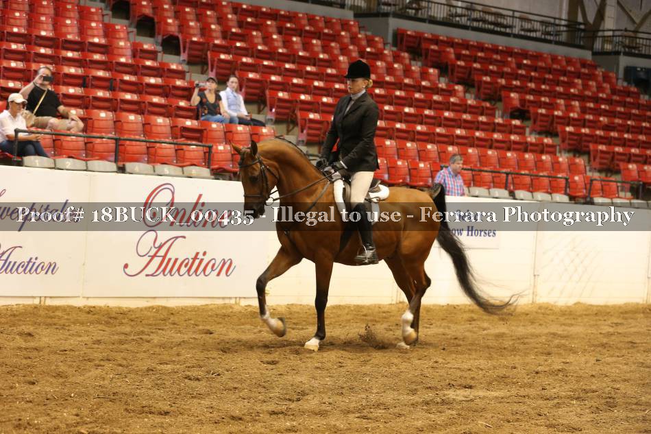 Proof 18BUCK_00435