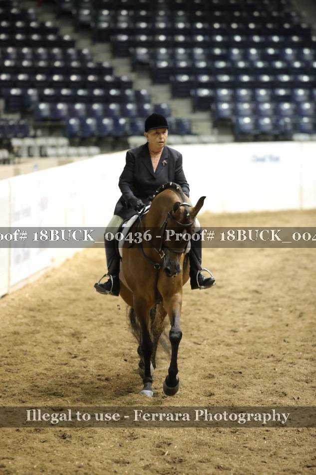 Proof 18BUCK_00436