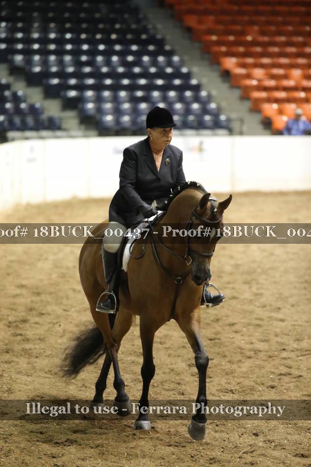 Proof 18BUCK_00437