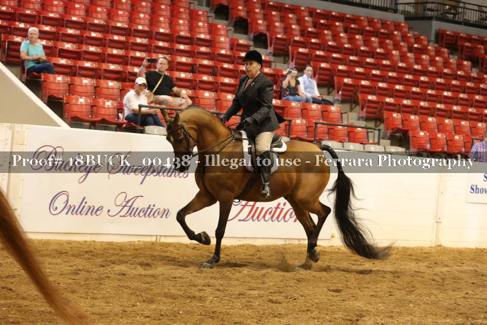 Proof 18BUCK_00438