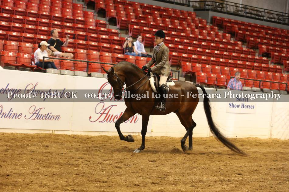 Proof 18BUCK_00439