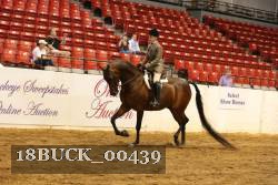 18BUCK_00439 proof