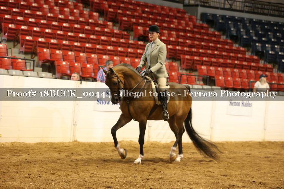 Proof 18BUCK_00444