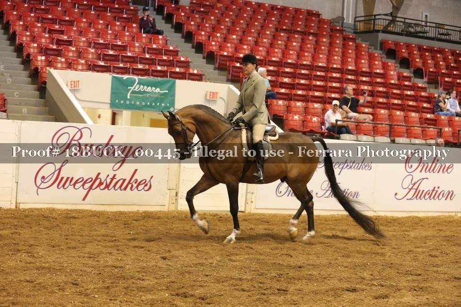 Proof 18BUCK_00445