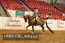 18BUCK_00445 proof
